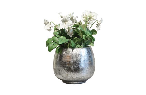 Glossy Silver pot & Violets No.3