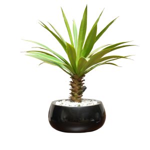 Home Decor Flower Arrangement Yucca 31 LVS Black Front View