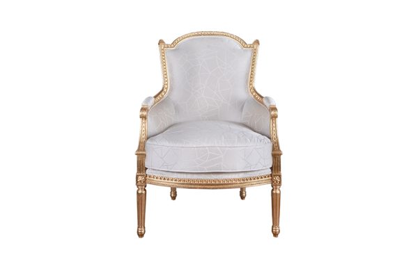 Home Decor Armchair MS2215005 Previya Chair Front View