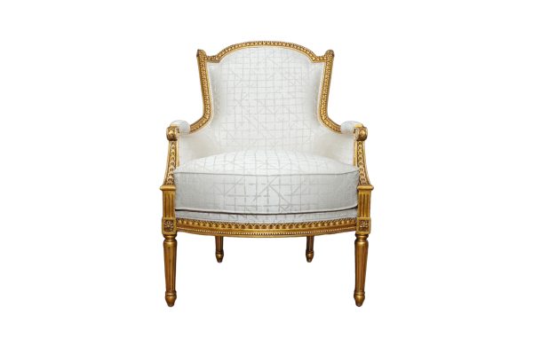 Home Decor Previya Chair GG 10039 Front View
