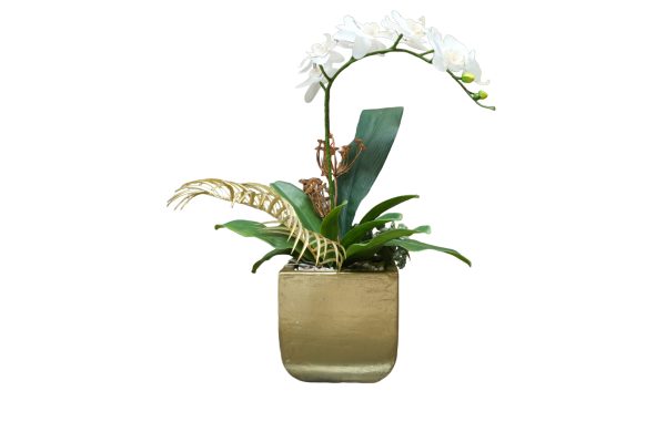 Home Decor Flower Arrangement No.90 - 022022 Gold Square Planter XL Orchid Mix Front View