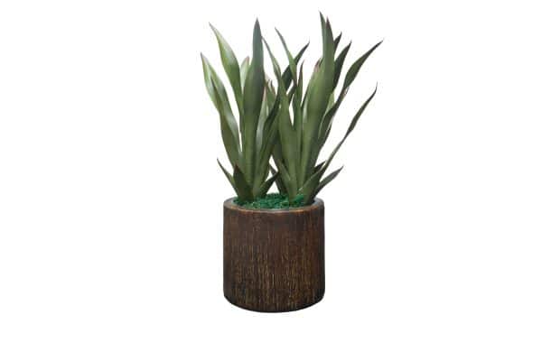 Home Decor Flower Arrangement No-71 Brown Pot Sanseuerici Modern 24 Front View