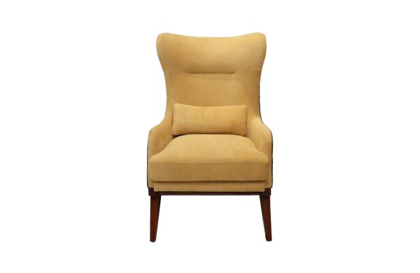 Home Decor Zee Armchair MSCJ Sundance Front View