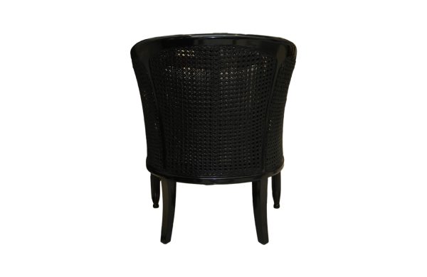 Home Decor Porto Rattan Armchair FP 11 Funghi Back View