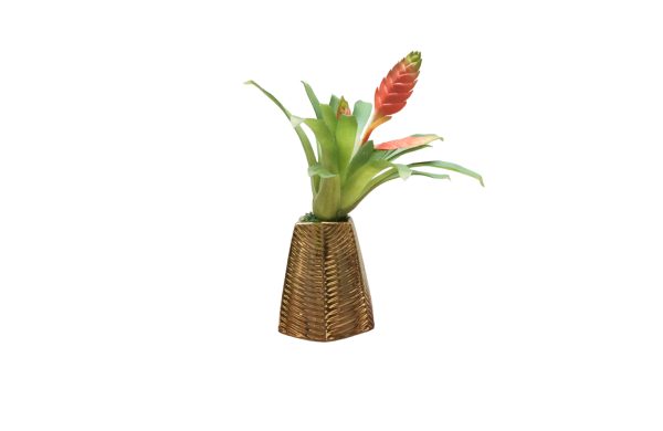 Home Decor Flower Arrangement No.89 - 022022 Cactus Redpot Bromelia Front View