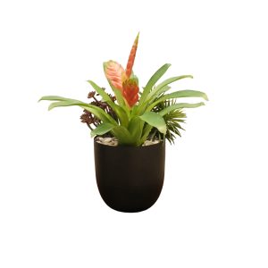 Home Decor Flower Arrangement No.88 - 022022 Red Planter Bromelia Mixed Garden Front View