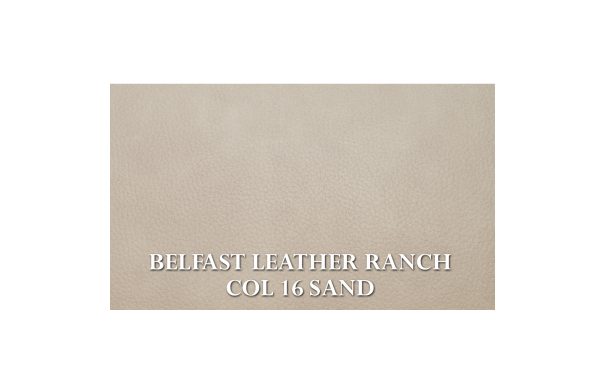 Home Decor Office Wing Chair BLR 16 Sand Study Chair Fabric View BELFAST LEATHER RANCH COL 16 SAND