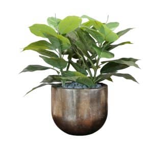 Home Decor Flower Arrangement No.102 - 022022 Copper Brons Planter Ficus Front View