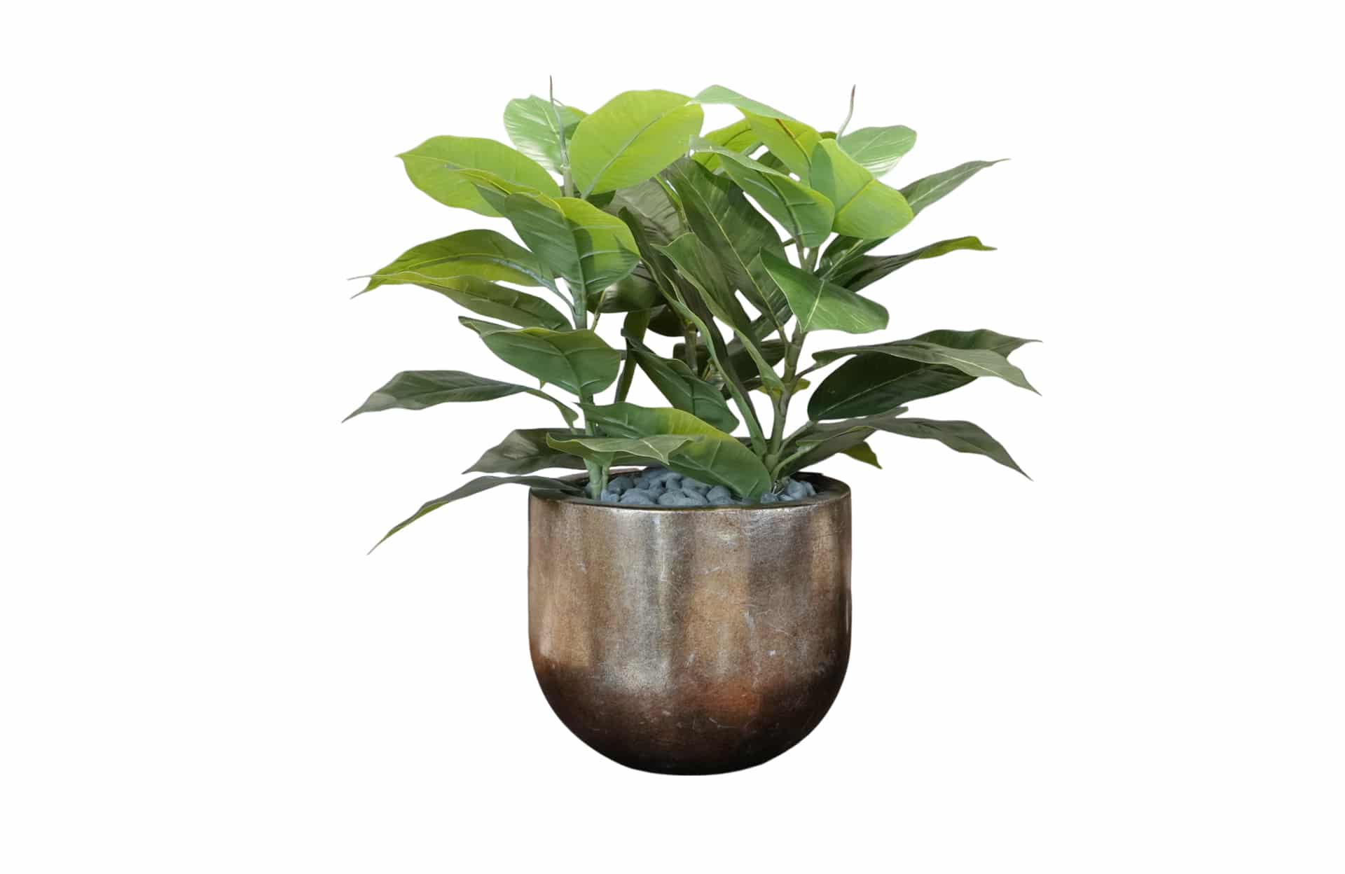 Home Decor Flower Arrangement No.102 - 022022 Copper Brons Planter Ficus Front View