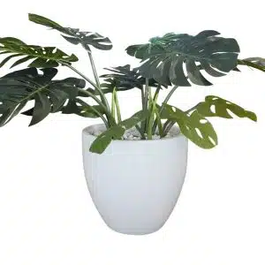 Home Decor Flower Arrangement No.37 - 022022 White Glossy Plantermostera Leaf Front View