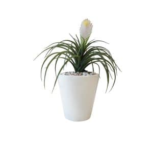 Home Decor Flower Arrangement White Glossy Planter & Tillandsia Plant No.5 ( 19 ) Front View