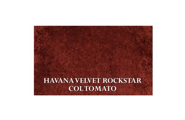 Home Decor Rodney Armchair HVR Tomato Fabric View HAVANA VELVET ROCKSTAR COL TOMATO